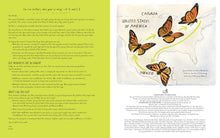 Load image into Gallery viewer, Monarch by Kirsten Hall