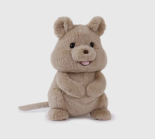 Load image into Gallery viewer, Quoksworth Quokka (Vegan Angora) Soft Toy 11.5"
