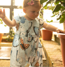 Load image into Gallery viewer, Baby Girls Alexandra Jumper- Blue Vintage Butterflies