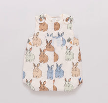 Load image into Gallery viewer, Baby Boys Noah Jumper- Blue Vintage Bunnies