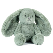 Load image into Gallery viewer, Beau Bunny Sage Green – Soft Toy 13.5"