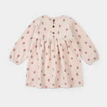 Load image into Gallery viewer, Winterberry Print on Velour Dress with Tights