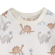 Load image into Gallery viewer, Soccer Dino Baby Jogger & Pants Set