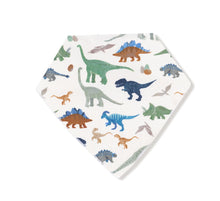 Load image into Gallery viewer, Bandana Bib- Washy Dinos