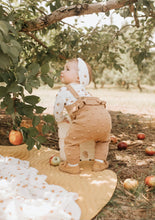 Load image into Gallery viewer, Knit Overalls/Apples Top Set
