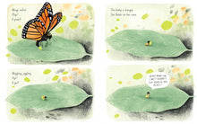 Load image into Gallery viewer, Monarch by Kirsten Hall