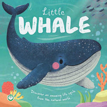 Load image into Gallery viewer, Little Whale