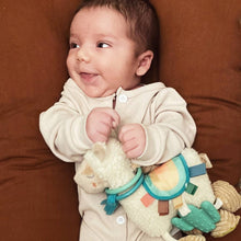 Load image into Gallery viewer, Llama Activity Plush with Teether Toy