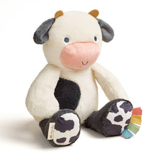 Load image into Gallery viewer, Sweetie Snuggles Plush
