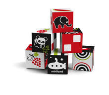 Load image into Gallery viewer, Miniland Educational - First Senses: 6 Cubes Set
