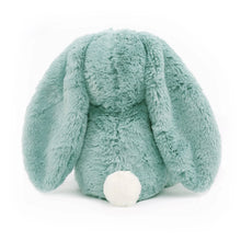 Load image into Gallery viewer, Banjo Blue Bunny Soft Toy 13.5&quot;/34cm
