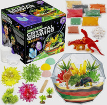 Load image into Gallery viewer, Original Stationery Dinosaur Crystal Growing Kit For Kids 7+
