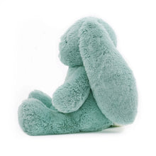 Load image into Gallery viewer, Banjo Blue Bunny Soft Toy 13.5&quot;/34cm
