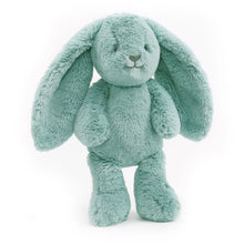 Load image into Gallery viewer, Banjo Blue Bunny Soft Toy 13.5&quot;/34cm
