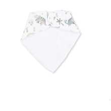 Load image into Gallery viewer, Sweet Baby Dinos Bandana Bib
