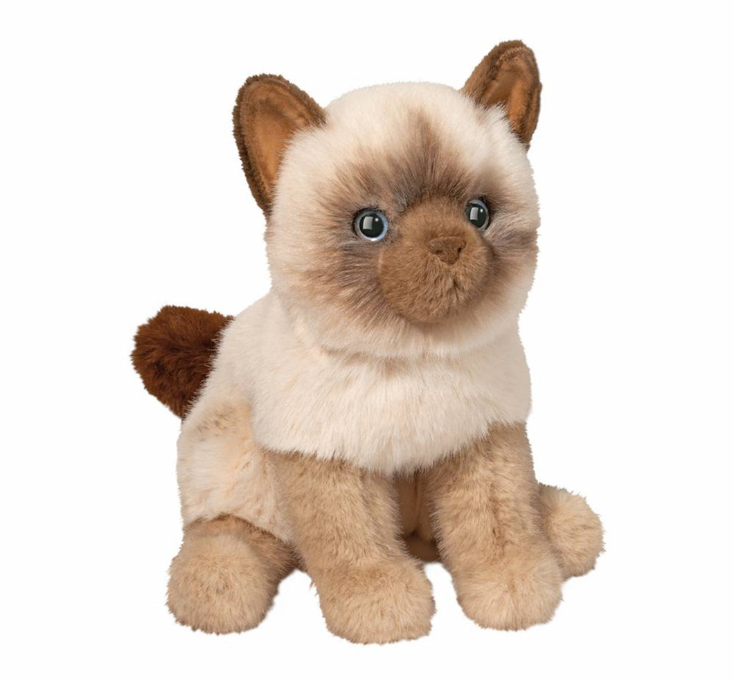 Fu Siamese Cat