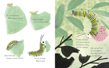 Load image into Gallery viewer, Monarch by Kirsten Hall
