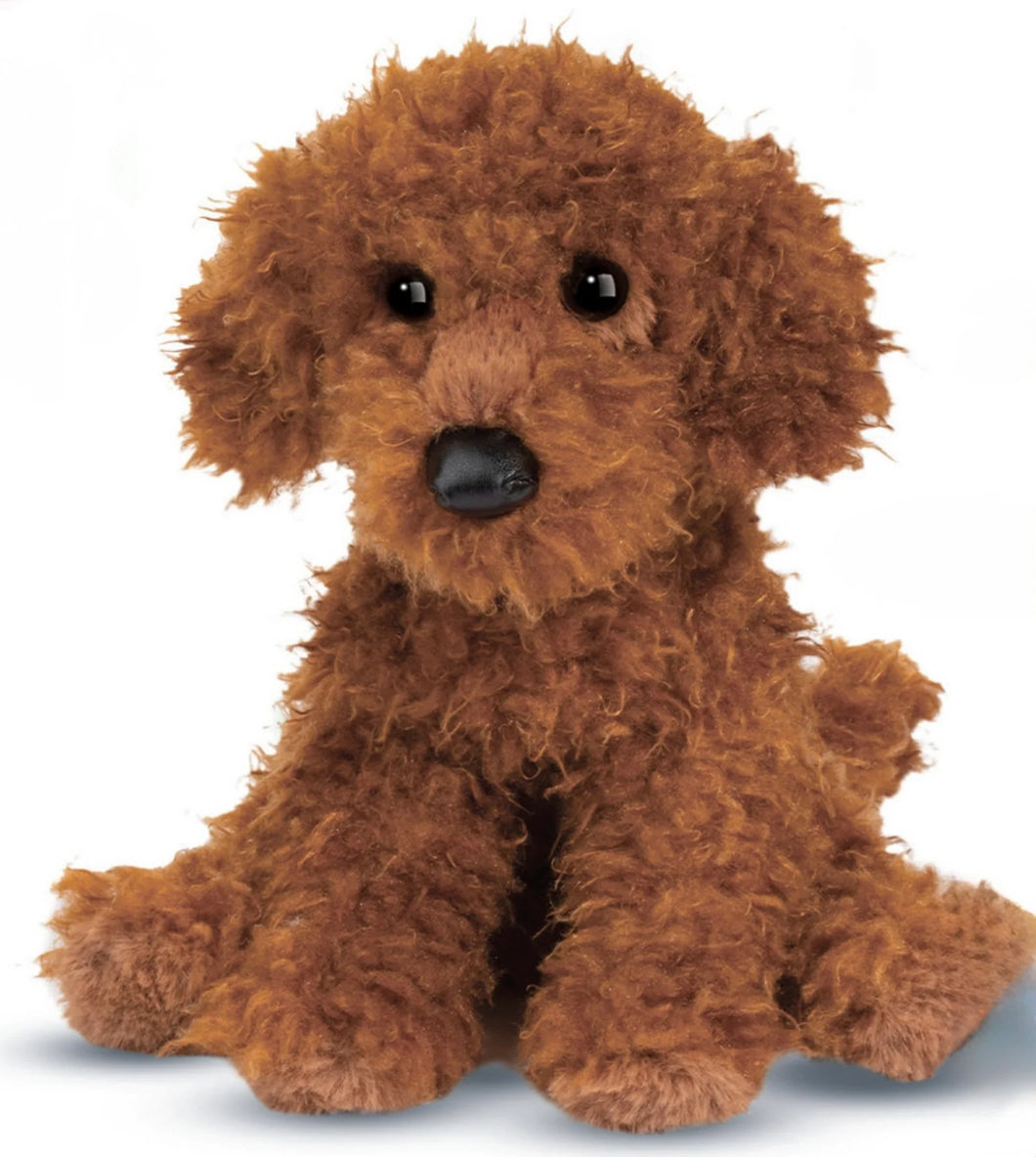 Ginger Miniature Poodle