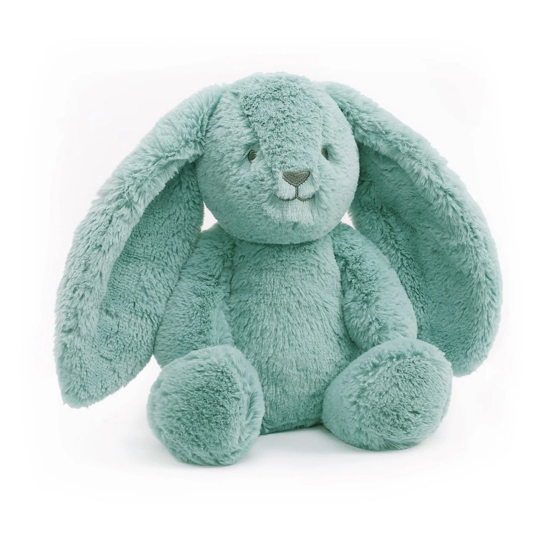 Banjo Blue Bunny Soft Toy 13.5