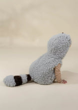 Load image into Gallery viewer, My First Raccoon Body Costume
