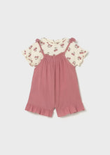 Load image into Gallery viewer, Baby Overall and t-shirt set- Blush
