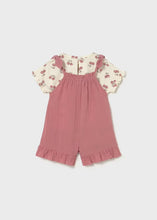 Load image into Gallery viewer, Baby Overall and t-shirt set- Blush
