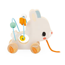 Load image into Gallery viewer, Janod - Pure | Pull-Along Animal Bead Maze
