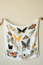 Load image into Gallery viewer, Butterfly Collector Swaddle
